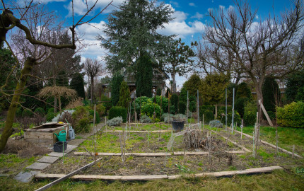 P.G's & Co. | Predáme 3 izbový rodinný dom na veľkom krásnom pozemku v Dobrohošti