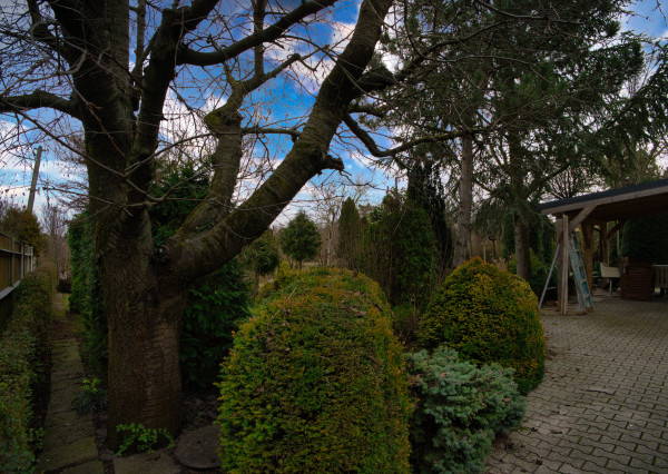 P.G's & Co. | Predáme 3 izbový rodinný dom na veľkom krásnom pozemku v Dobrohošti